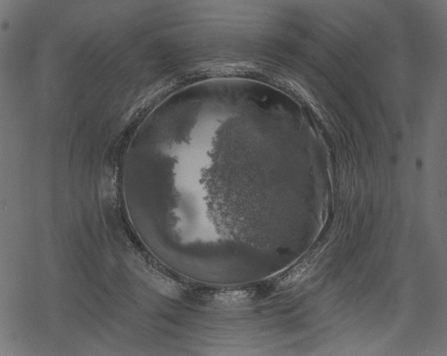 X0000068890357200605081325