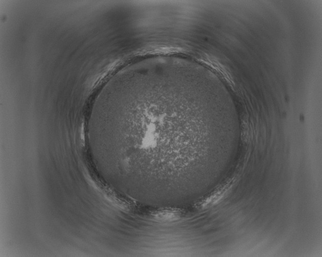 X0000068890358200605081325