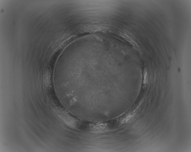 X0000068890359200605081325