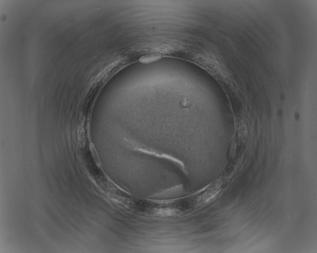 X0000068890360200605081325