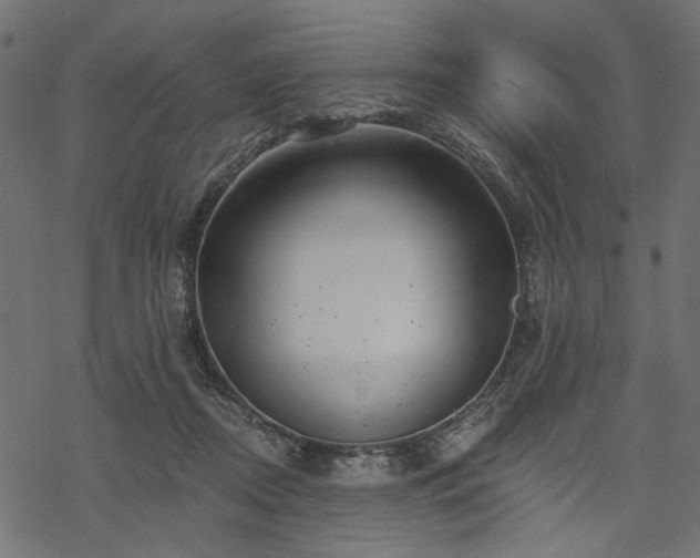 X0000068890362200605081325