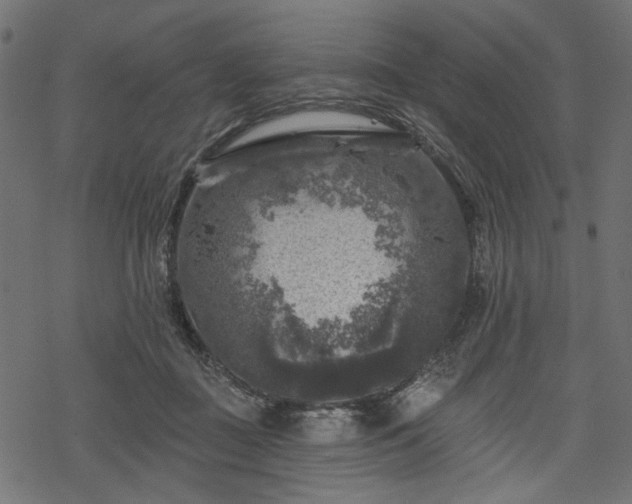 X0000068890363200605081325