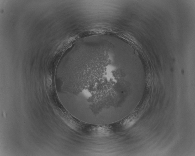 X0000068890365200605081325