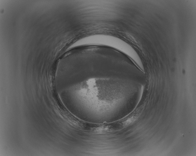 X0000068890366200605081325