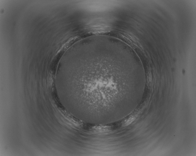 X0000068890367200605081325