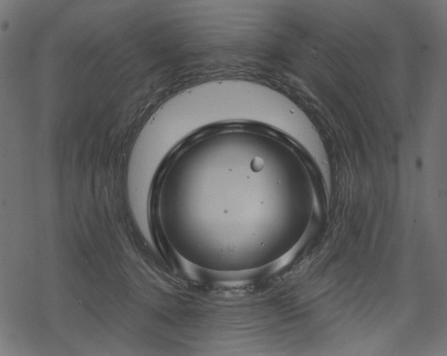 X0000068890368200605081326