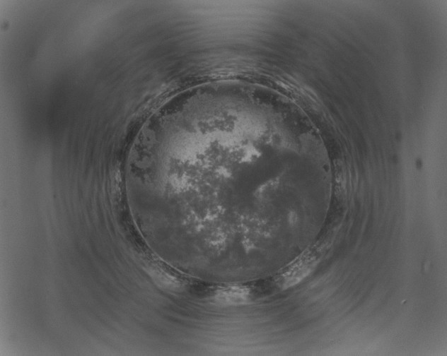 X0000068890369200605081326