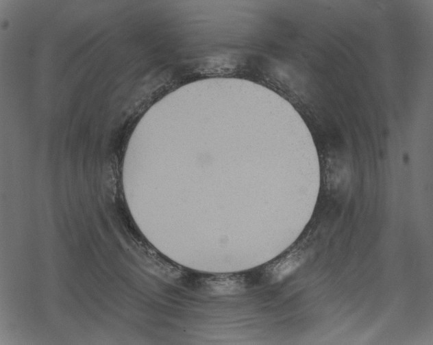 X0000068890370200605081326