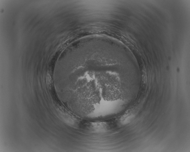 X0000068890371200605081326