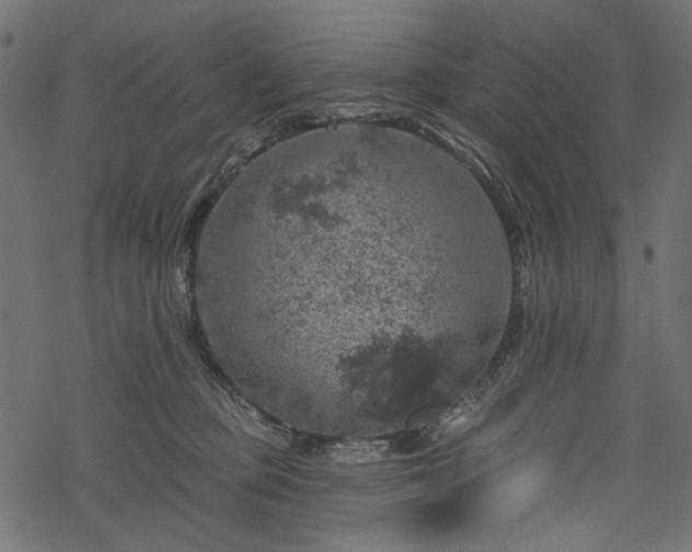 X0000068890373200605081326