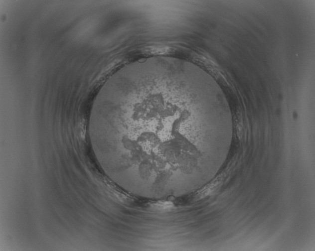 X0000068890374200605081326