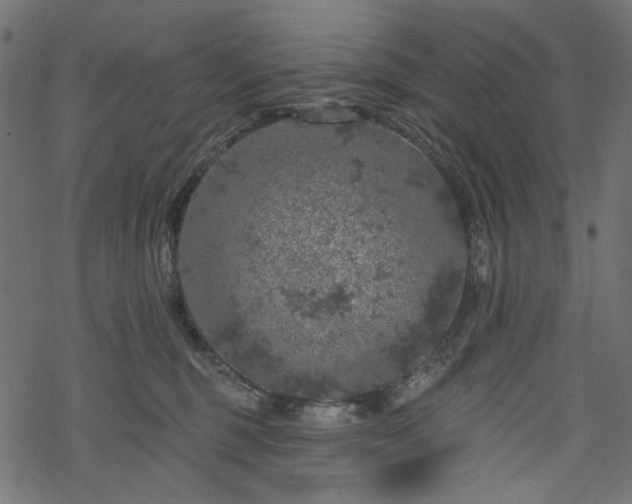 X0000068890375200605081326