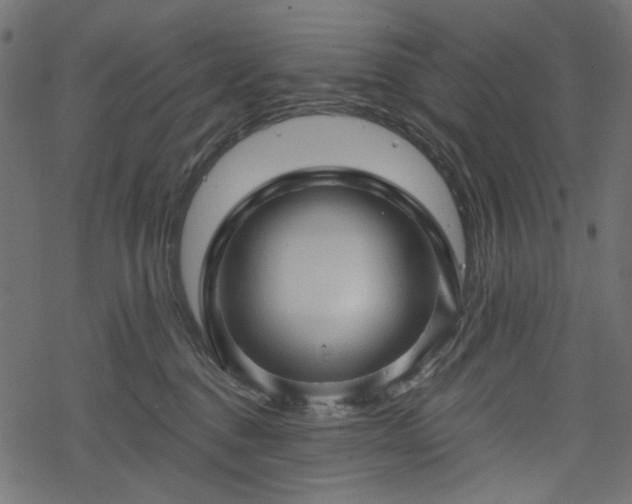 X0000068890376200605081326