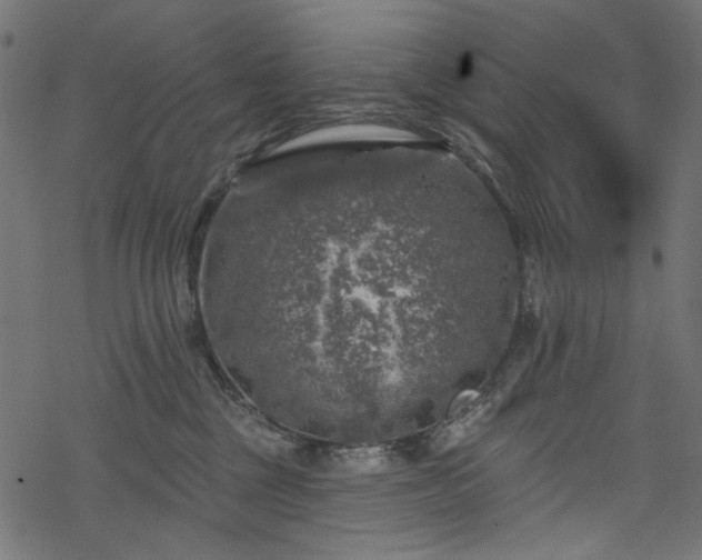 X0000068890377200605081326