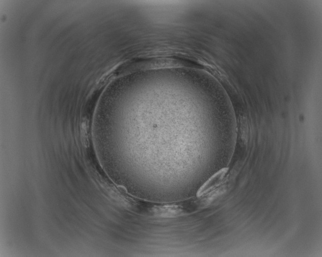 X0000068890378200605081326