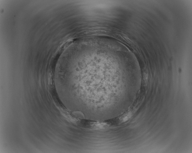 X0000068890379200605081326