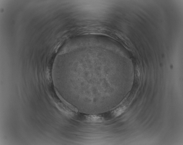 X0000068890380200605081326