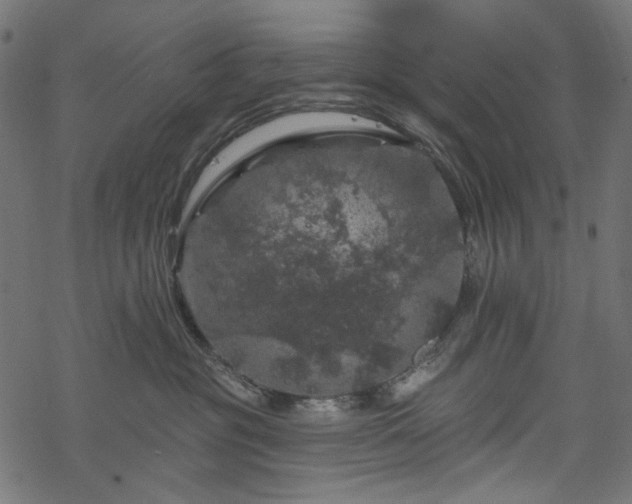 X0000068890381200605081326