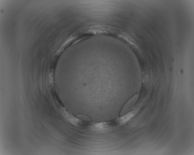 X0000068890382200605081326