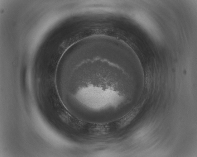 X0000068890383200605081326