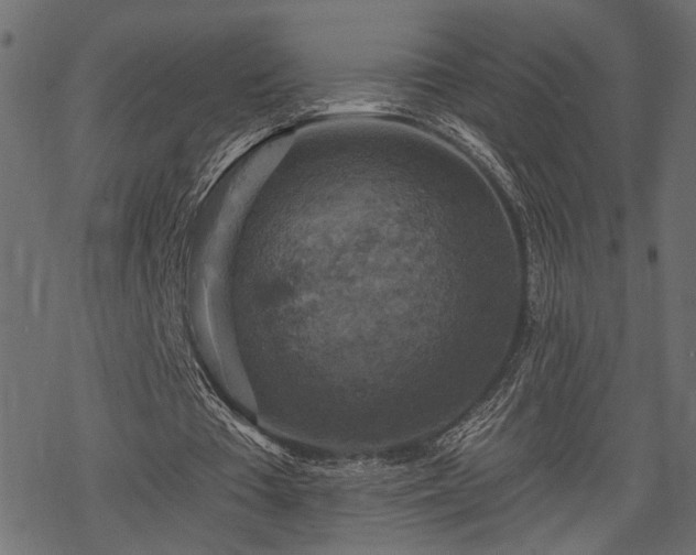 X0000068890385200605081325