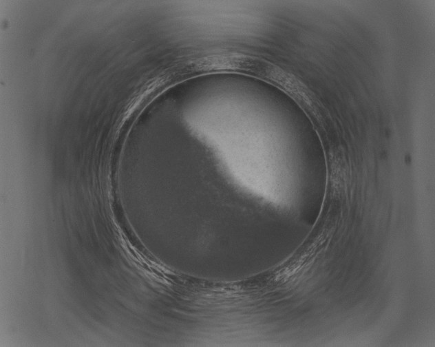 X0000068890386200605081325