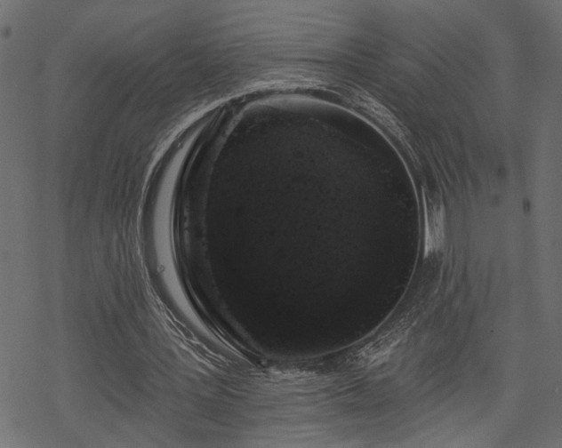 X0000068890387200605081325