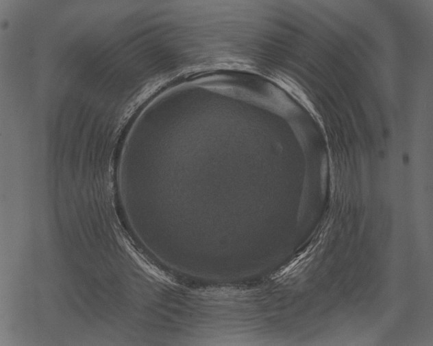 X0000068890389200605081325