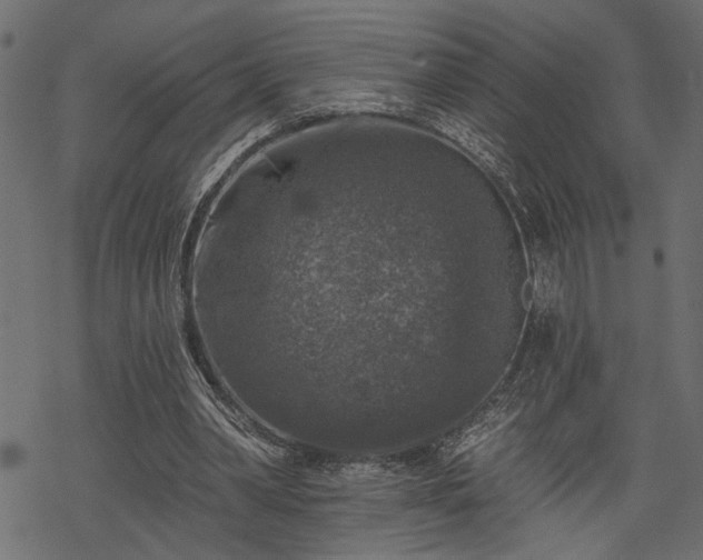 X0000068890390200605081325