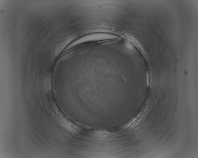 X0000068890393200605081325