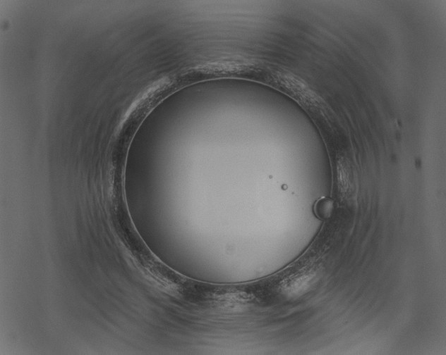 X0000068890396200605081325