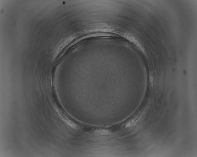 X0000068890397200605081325