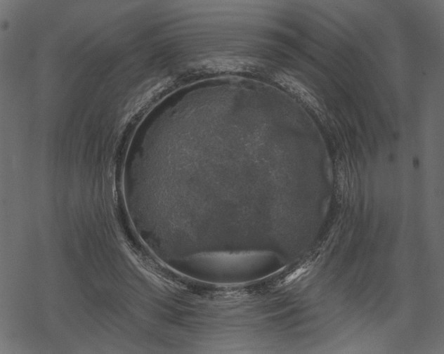 X0000068890398200605081325