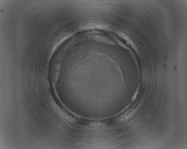 X0000068890399200605081325