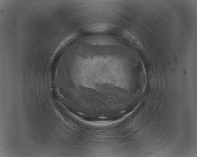 X0000068890400200605081325