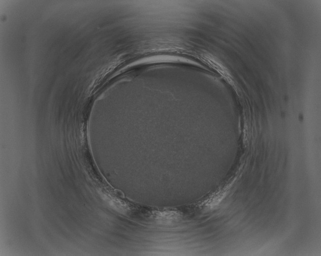 X0000068890401200605081325