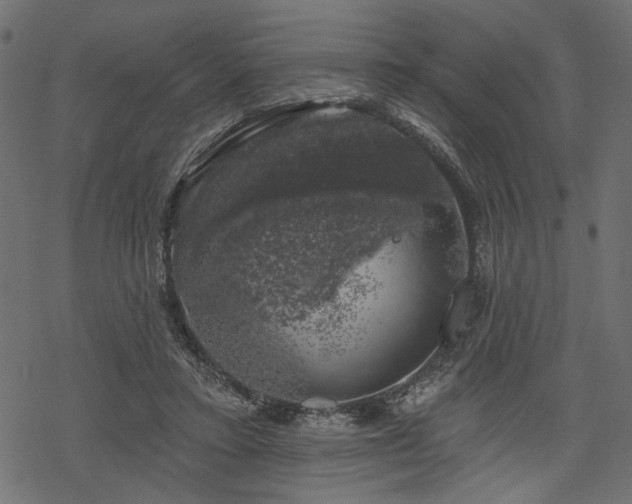 X0000068890403200605081325