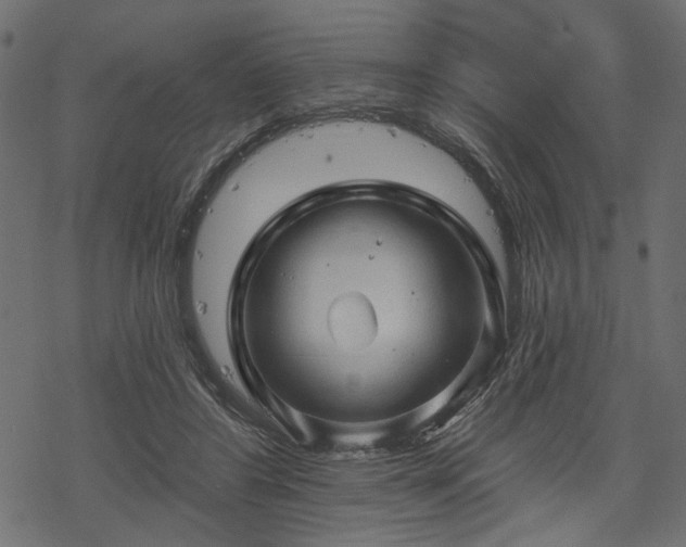 X0000068890404200605081325