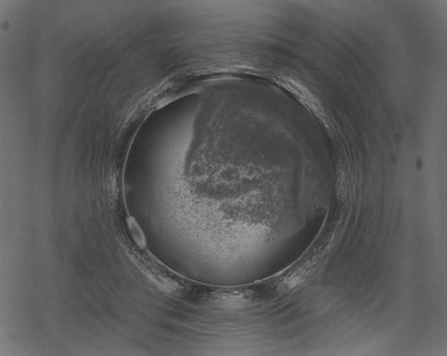 X0000068890405200605081325