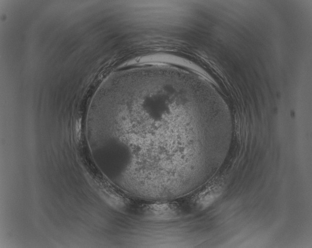 X0000068890406200605081325