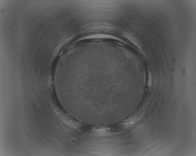 X0000068890407200605081325