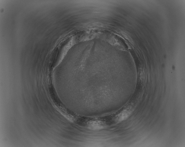 X0000068890408200605081325