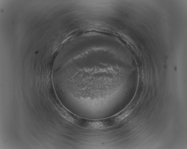 X0000068890409200605081325