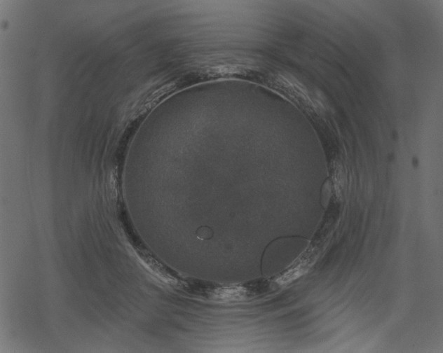 X0000068890410200605081325