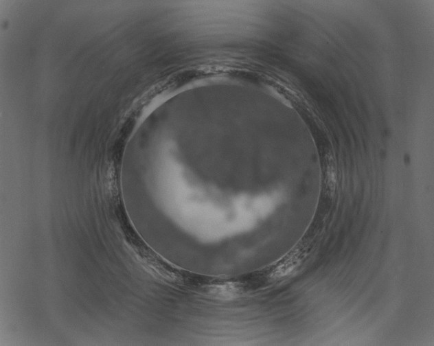 X0000068890411200605081325