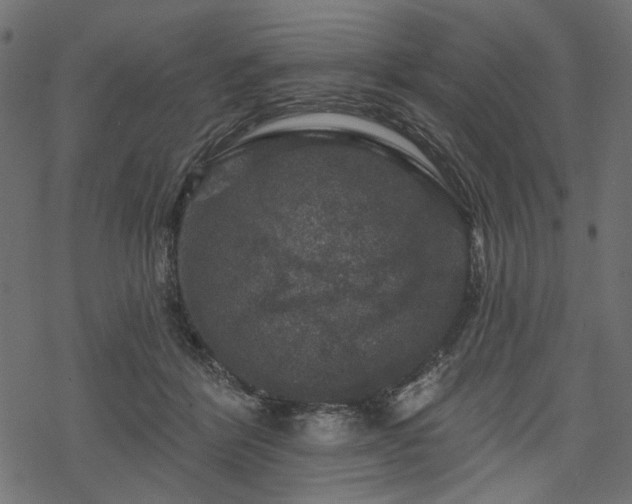 X0000068890412200605081325