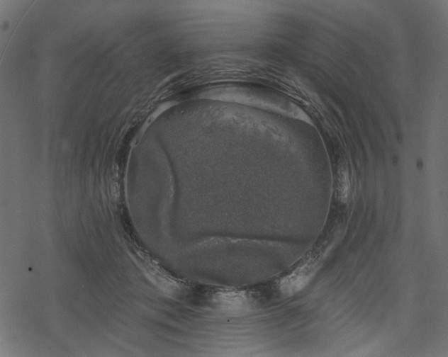 X0000068890413200605081325