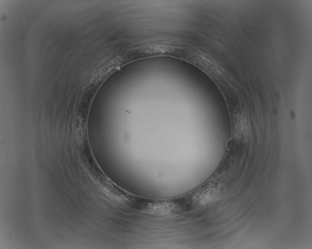 X0000068890414200605081325