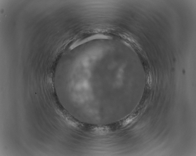 X0000068890415200605081325