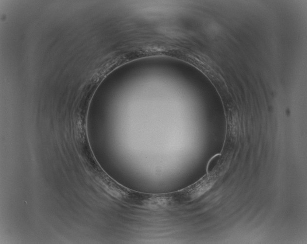 X0000068890418200605081324